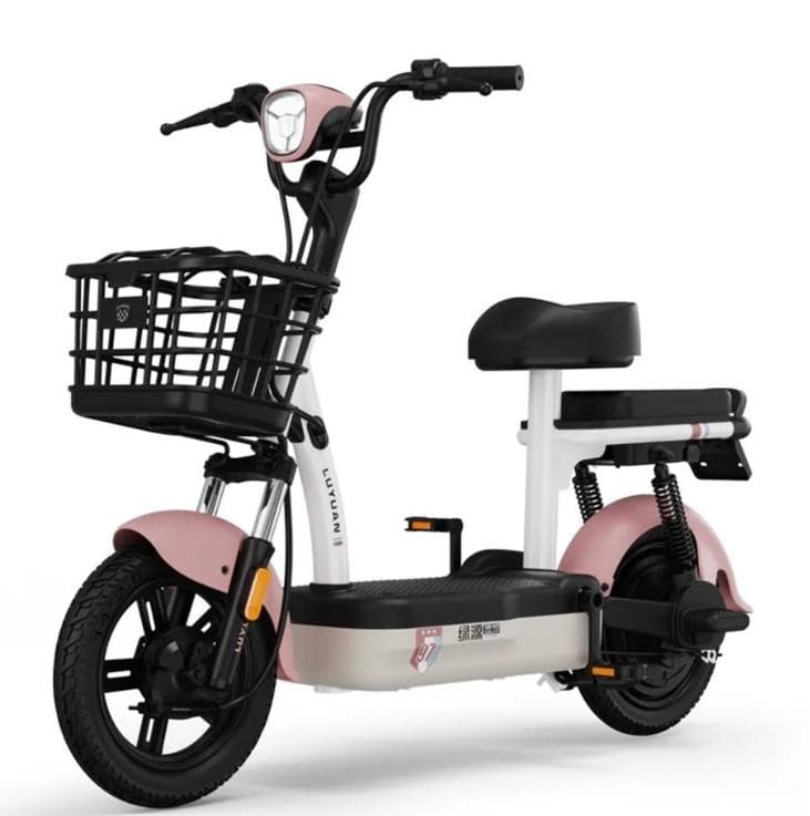 LUYUAN FBY 1