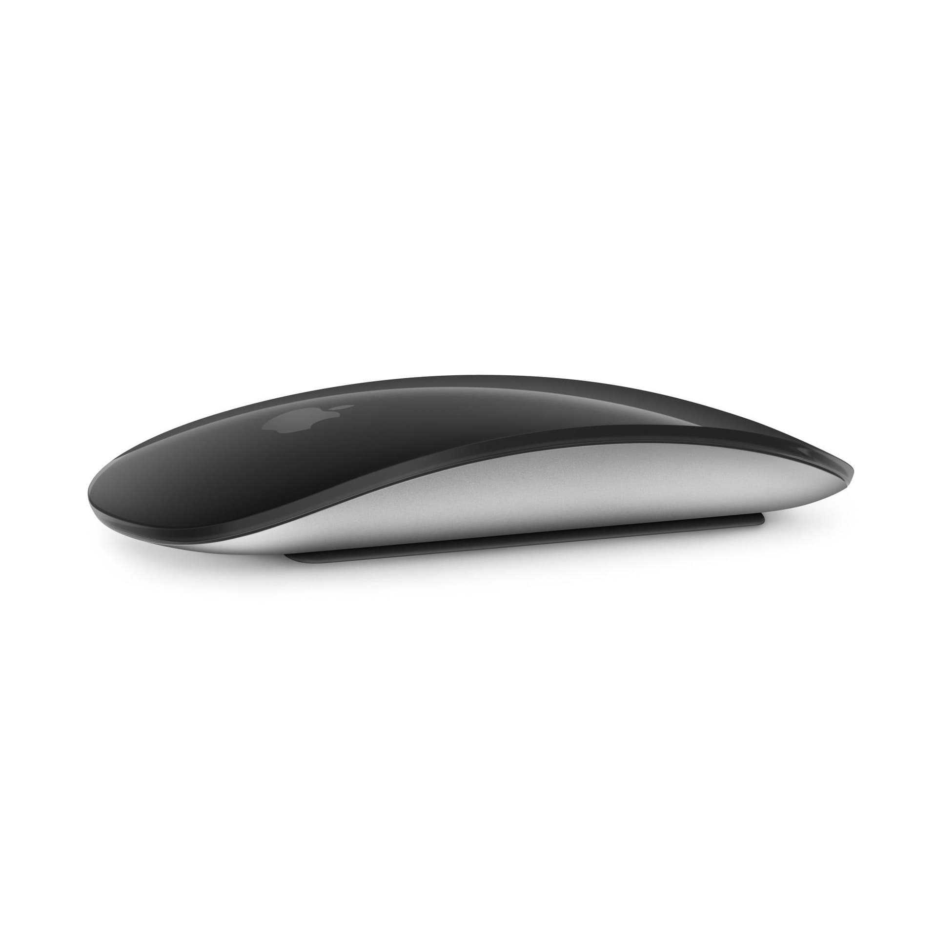 Magic Mouse 1